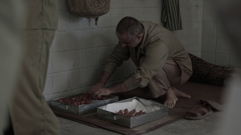 پرونده:عکس زولبیا.png